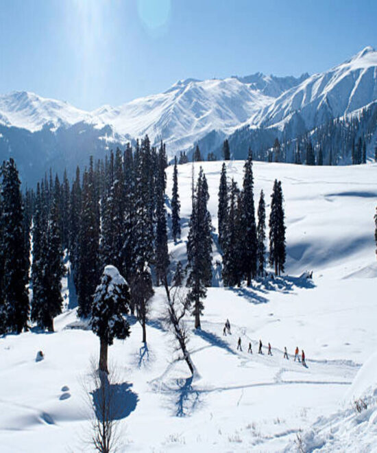 Kashmir 3 Days 2 Nights